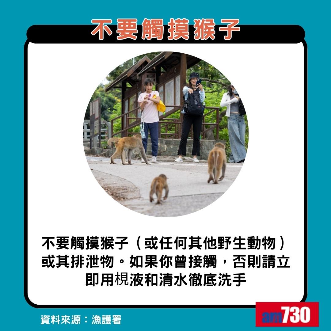 猴疱疹病毒|遇猴子8大注意事項,不要觸摸猴子(am730製圖)