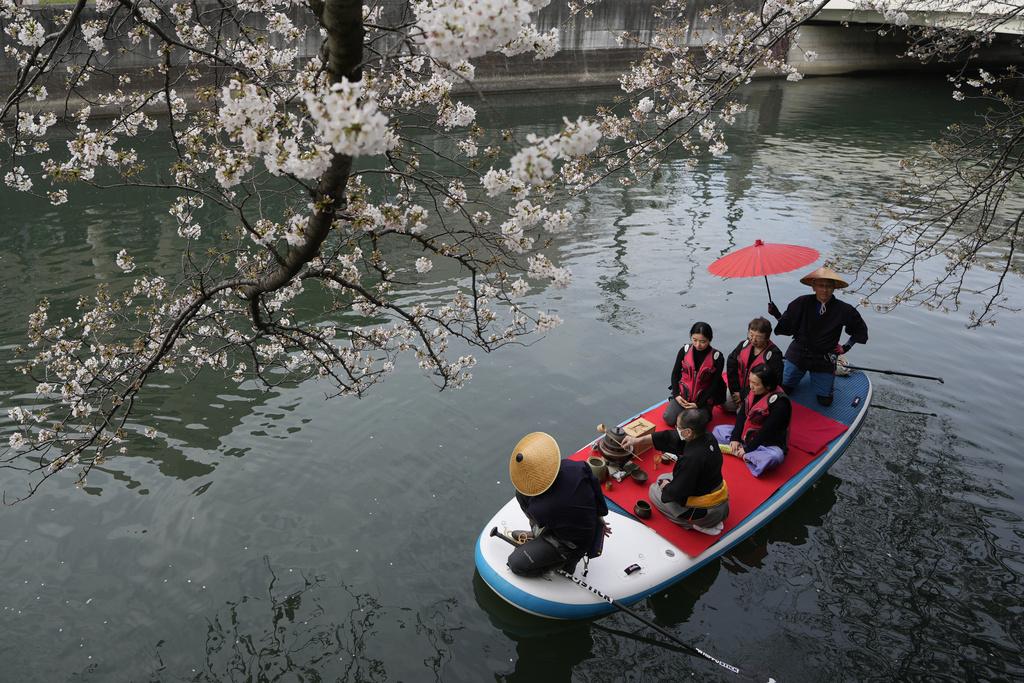 橫濱民眾一邊遊河賞櫻,一邊品茶。(美聯社)