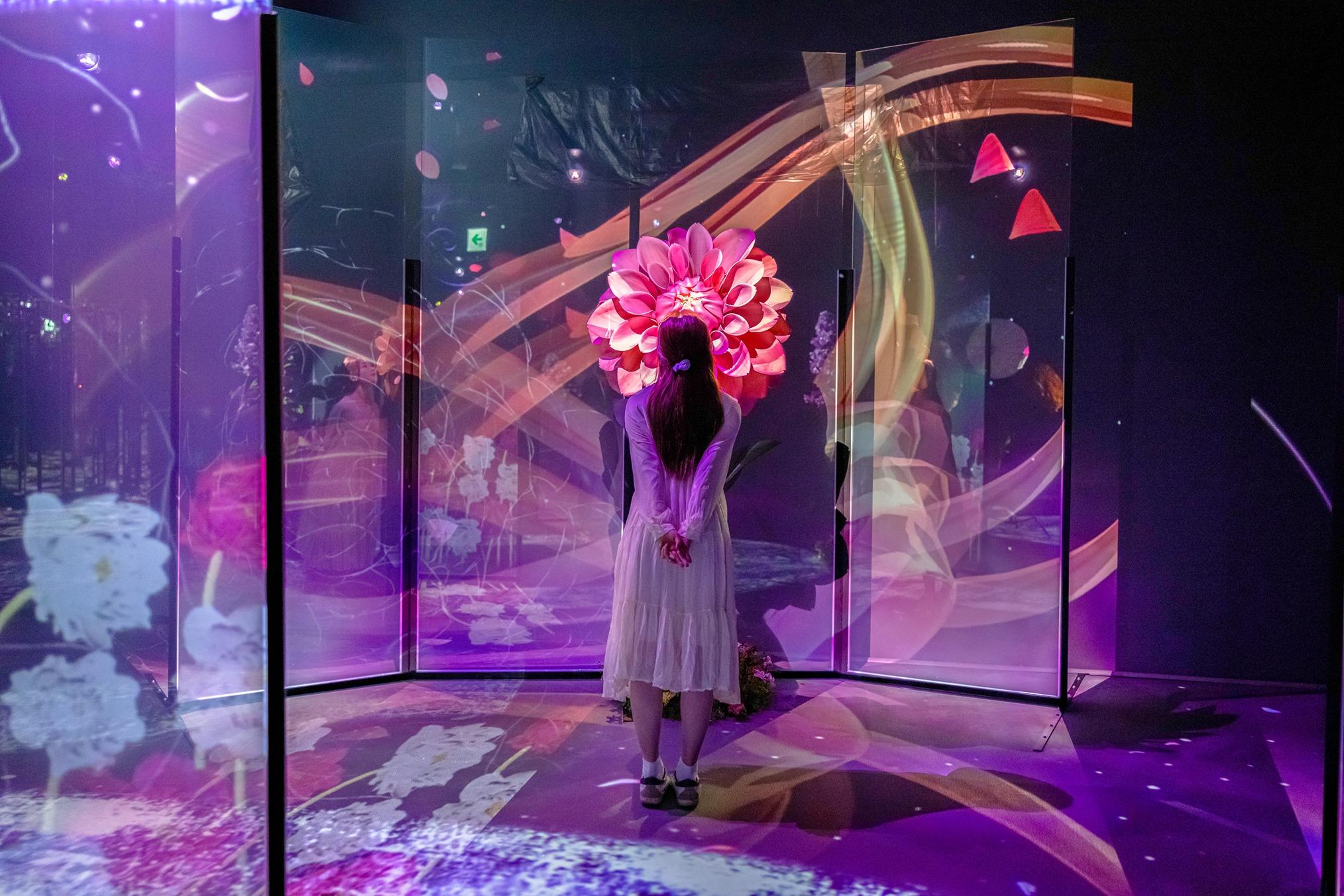 NAKED FLOWERS花舞光影展首度來港 沉浸式多感觀花海體驗 8大展區打卡位