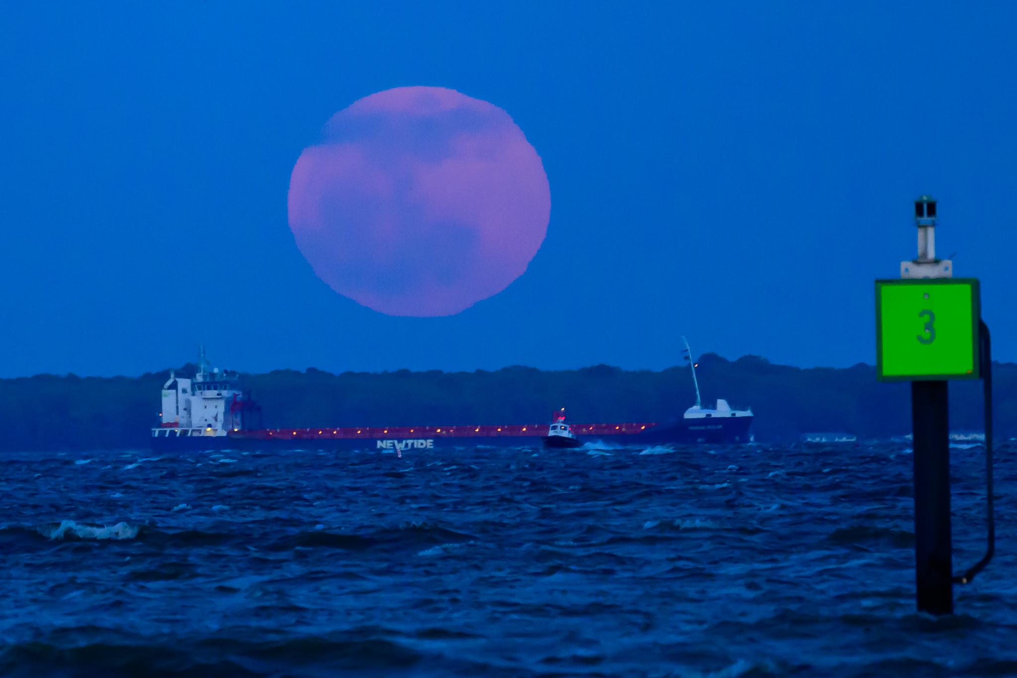 美國馬里蘭州。(X)