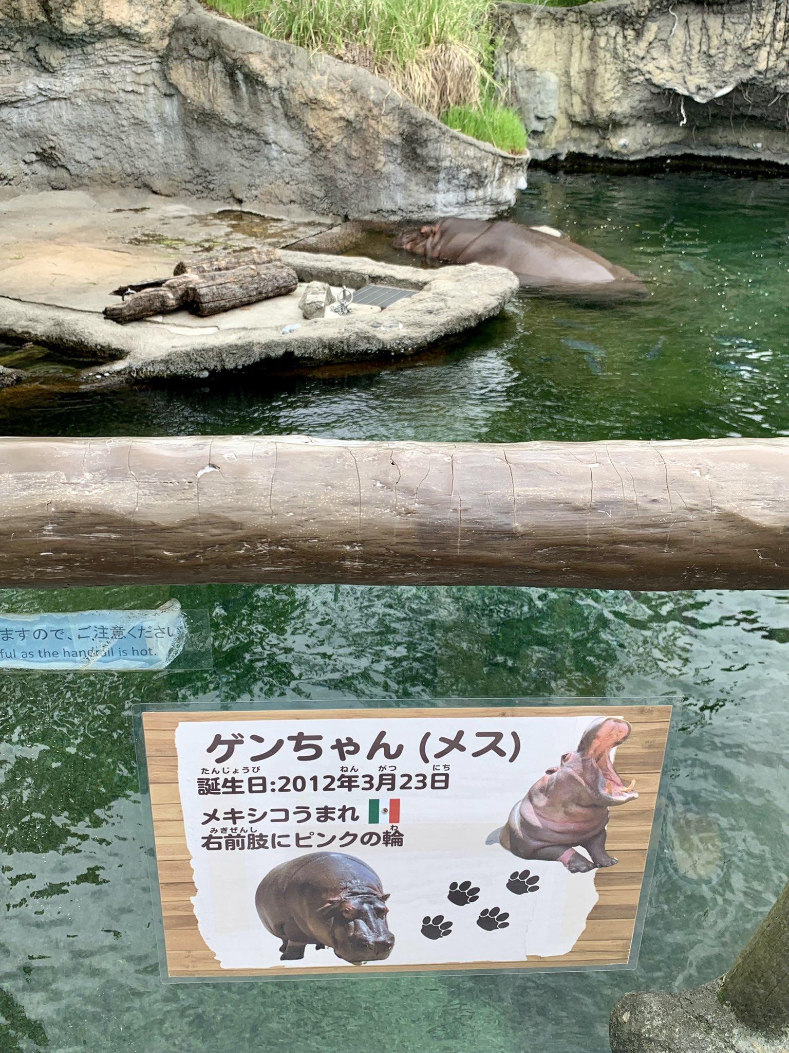 園方小源介絕牌。(X)