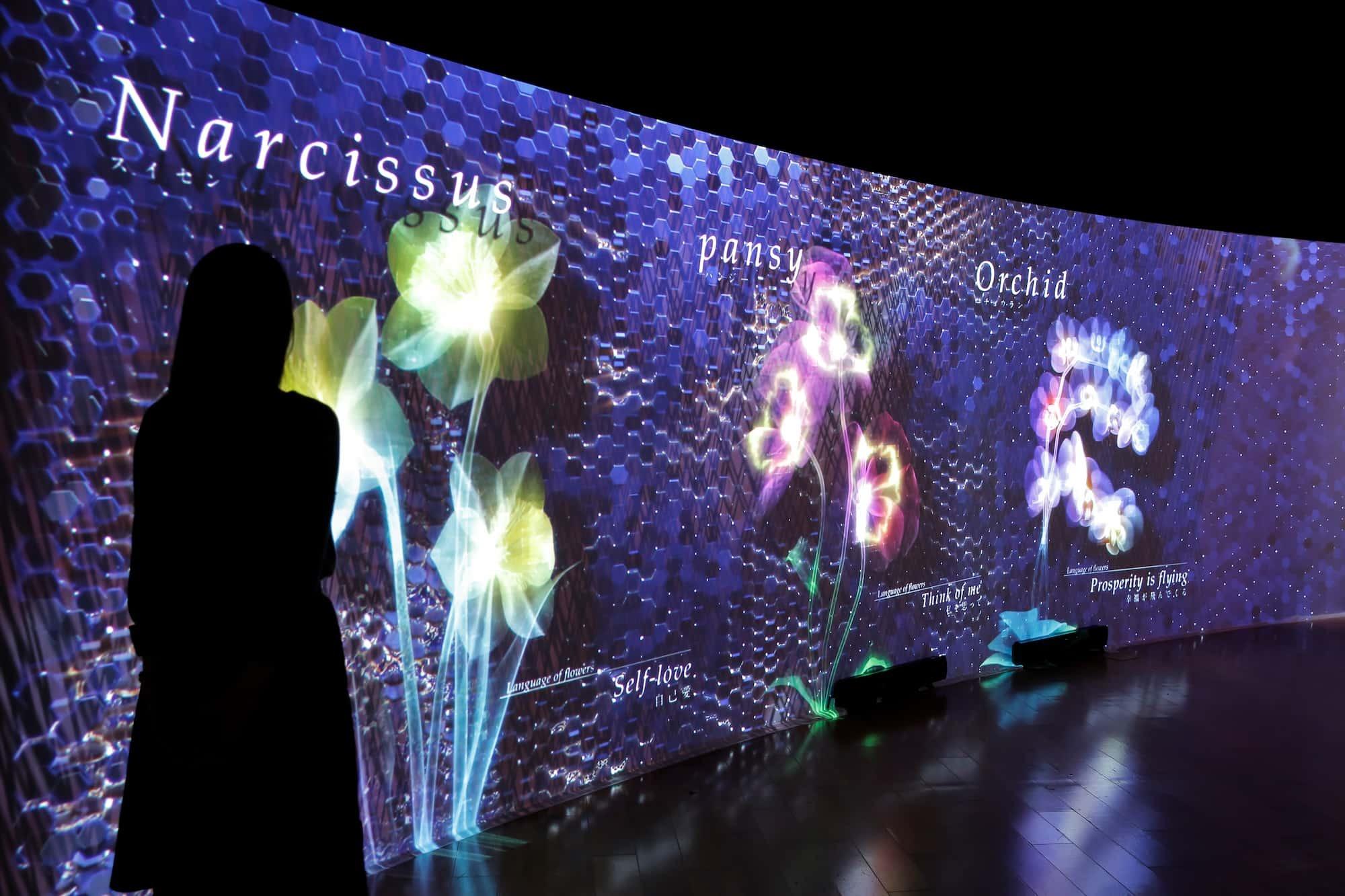 NAKED FLOWERS香港站 8大打卡位|綻放花園 MOSAIC FLOWER GARDEN