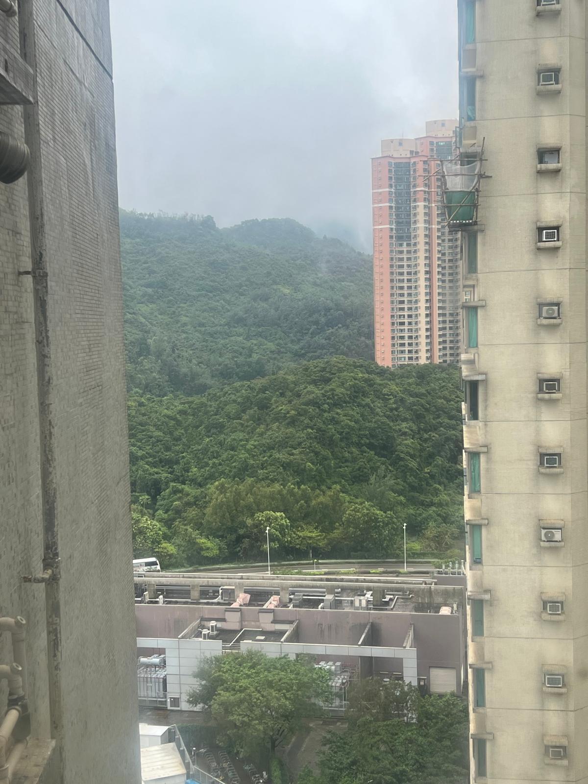 單位景觀以山景和樓景為主,視野開揚。(代理提供)