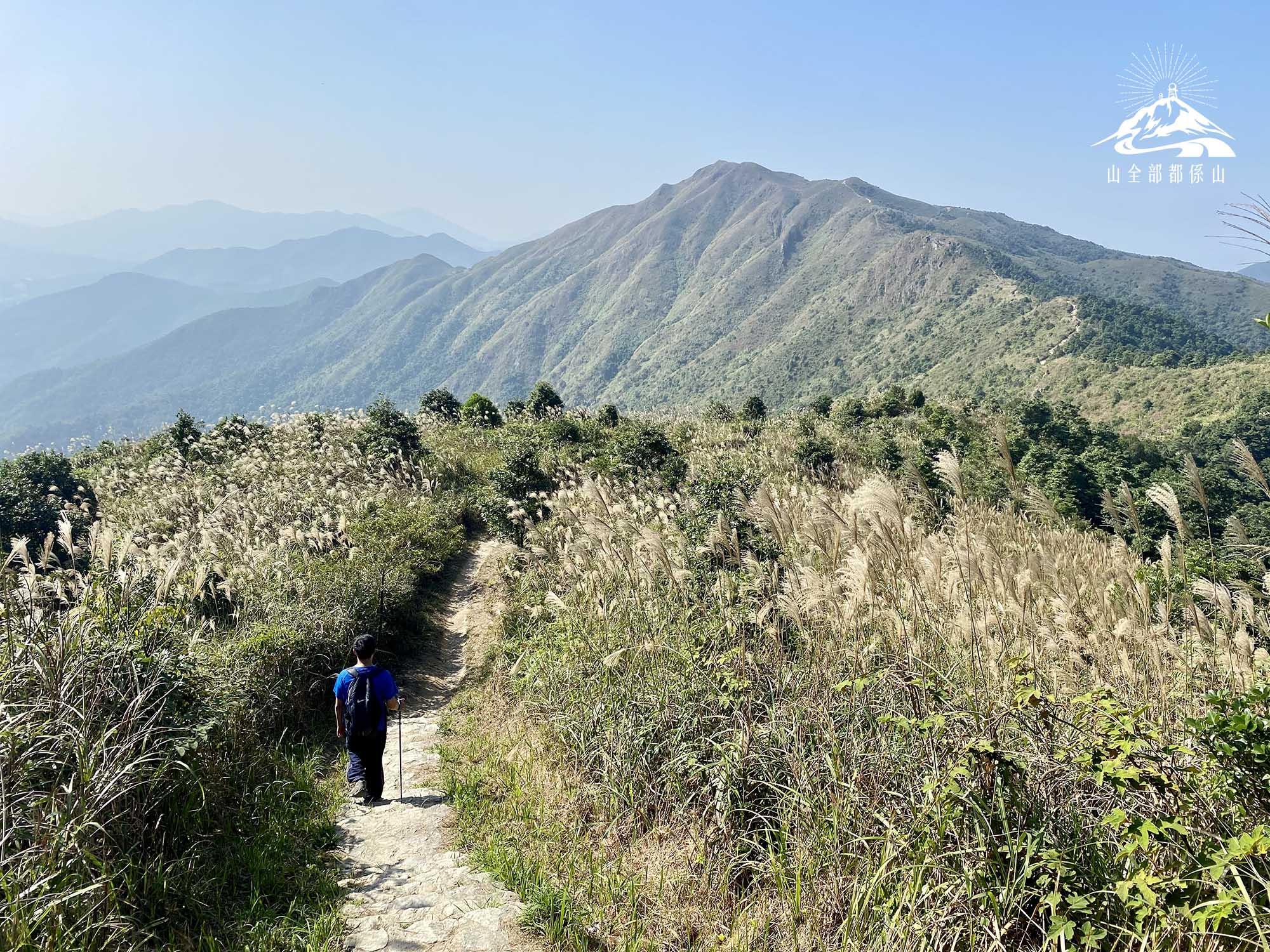 八仙嶺中途難有撤出路線,秋冬是理想行山日子。(圖片來源︰山全部都係山)