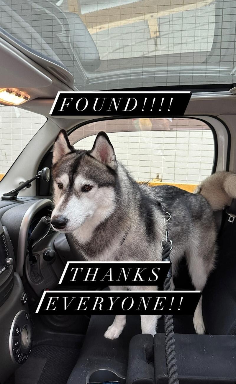 Will的雪橇愛犬Reef早前在維園一度走失,幸好在三小時後成功尋回。