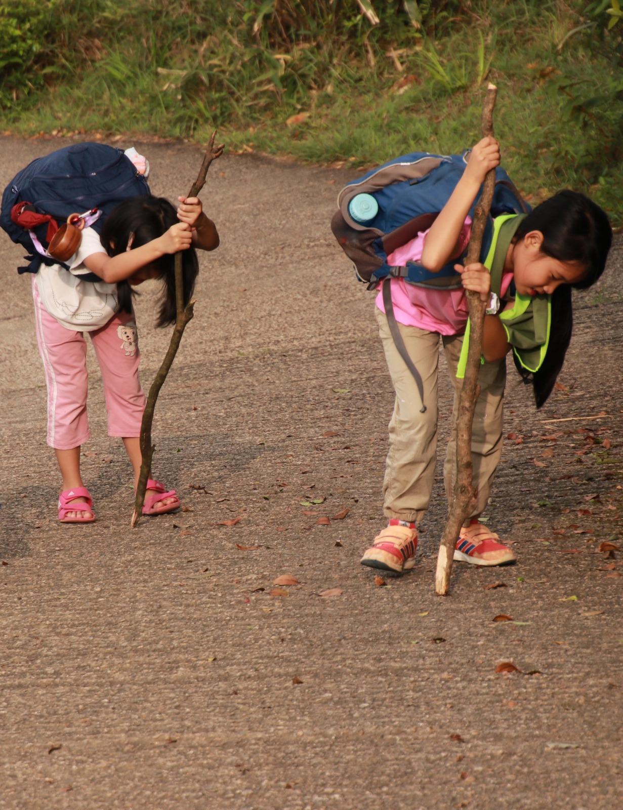 自然學校的辦學理念主要分為五方面,包括情意自然教育、人本教育、自主學習、生活與學習合一及整全人格的陶養。