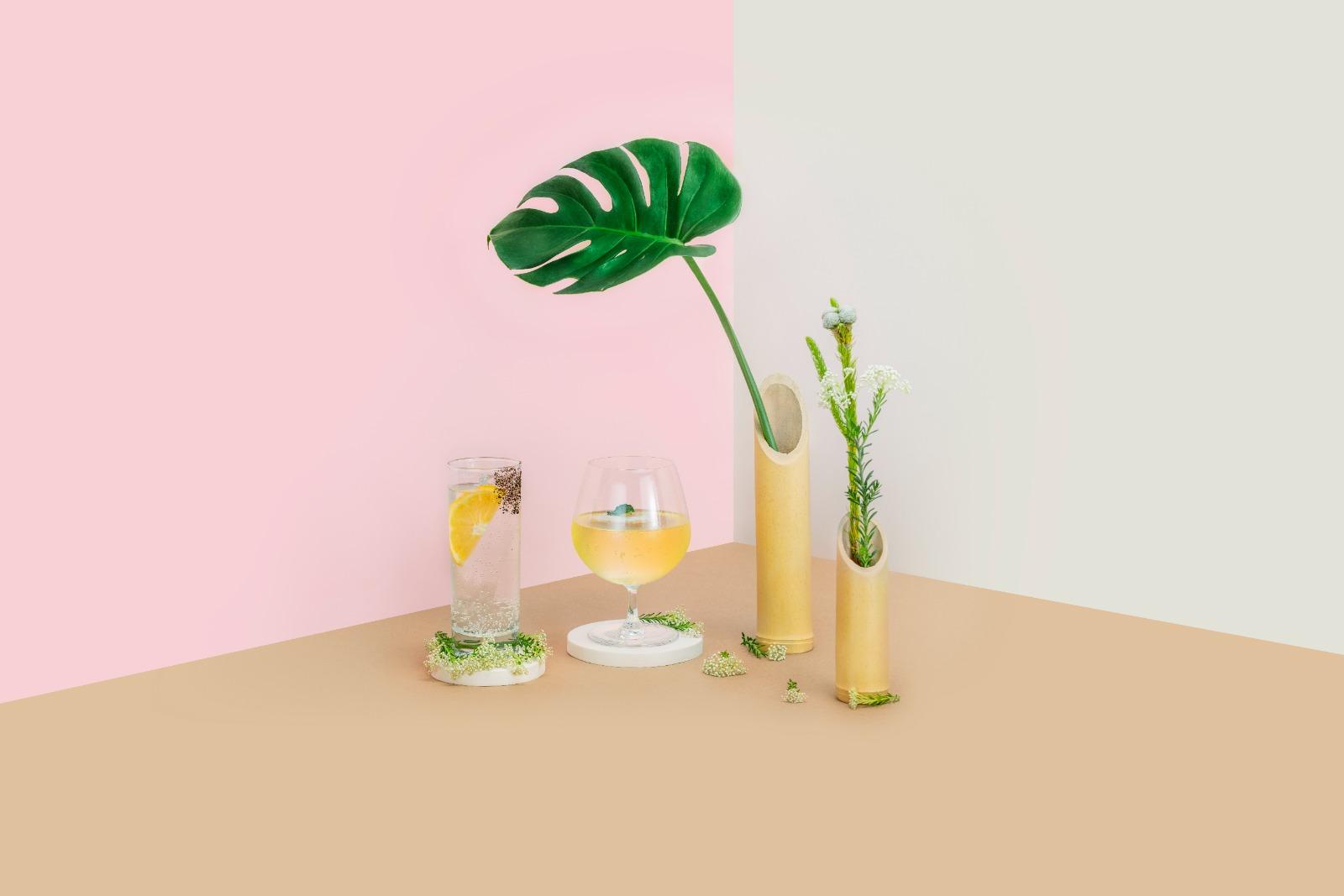 花見大館2024,大館檢閱廣場轉身變為花卉樂園,市民可及參加工作坊或領養植物