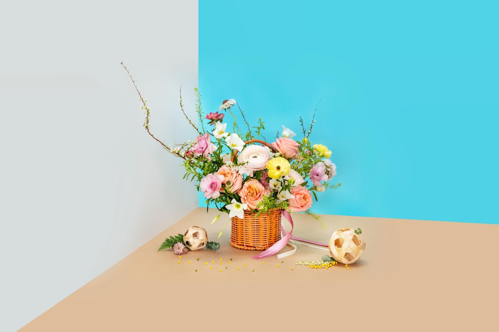 花見大館2024,大館檢閱廣場轉身變為花卉樂園,市民可及參加工作坊或領養植物