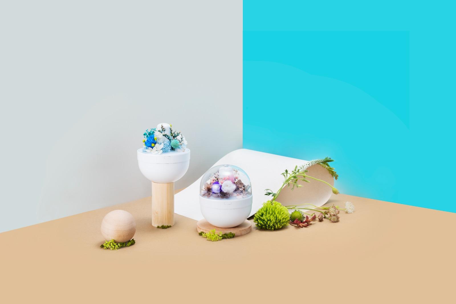 花見大館2024,大館檢閱廣場轉身變為花卉樂園,市民可及參加工作坊或領養植物