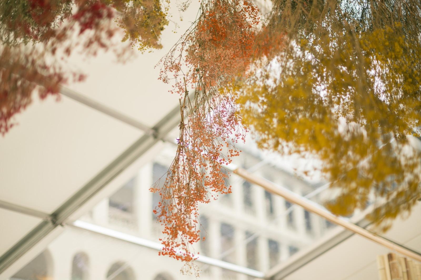 花見大館2024由 4月4日至4月7日舉行,是周末好去處