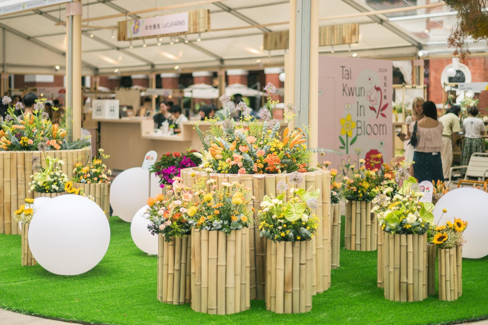 花見大館2024由 4月4日至4月7日舉行,是周末好去處