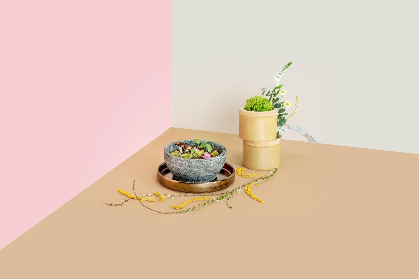 花見大館2024,大館檢閱廣場轉身變為花卉樂園,市民可及參加工作坊或領養植物