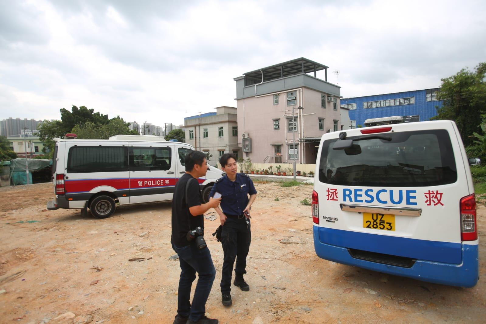 流浮山農莊走失鴕鳥 雞伯嶺發現蹤影被擒獲