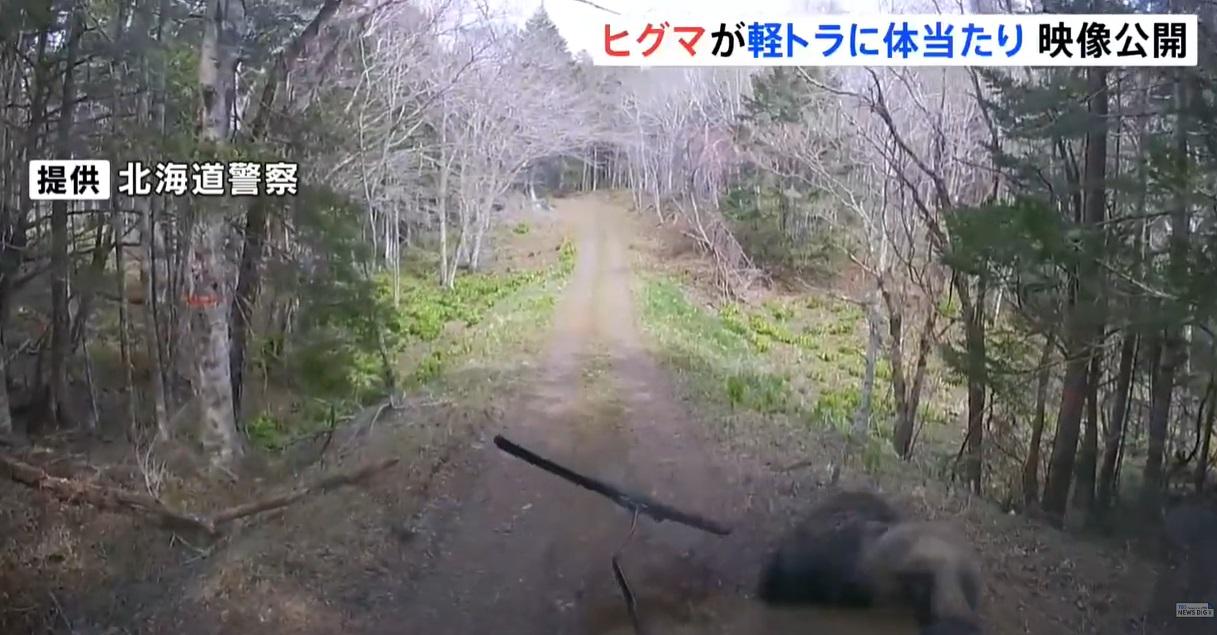 棕熊再跑向貨車。(互聯網)