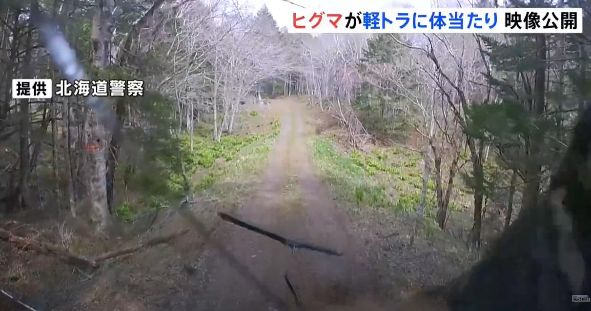 棕熊再撲向貨車車頭右方。(互聯網)