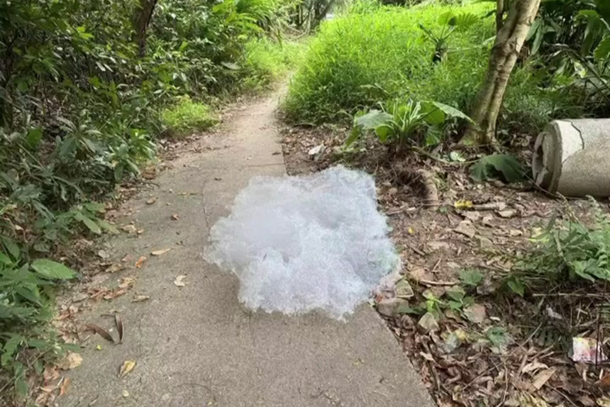 小赤沙一帶溪澗有大量白色泡沫。(方國珊FB圖片)