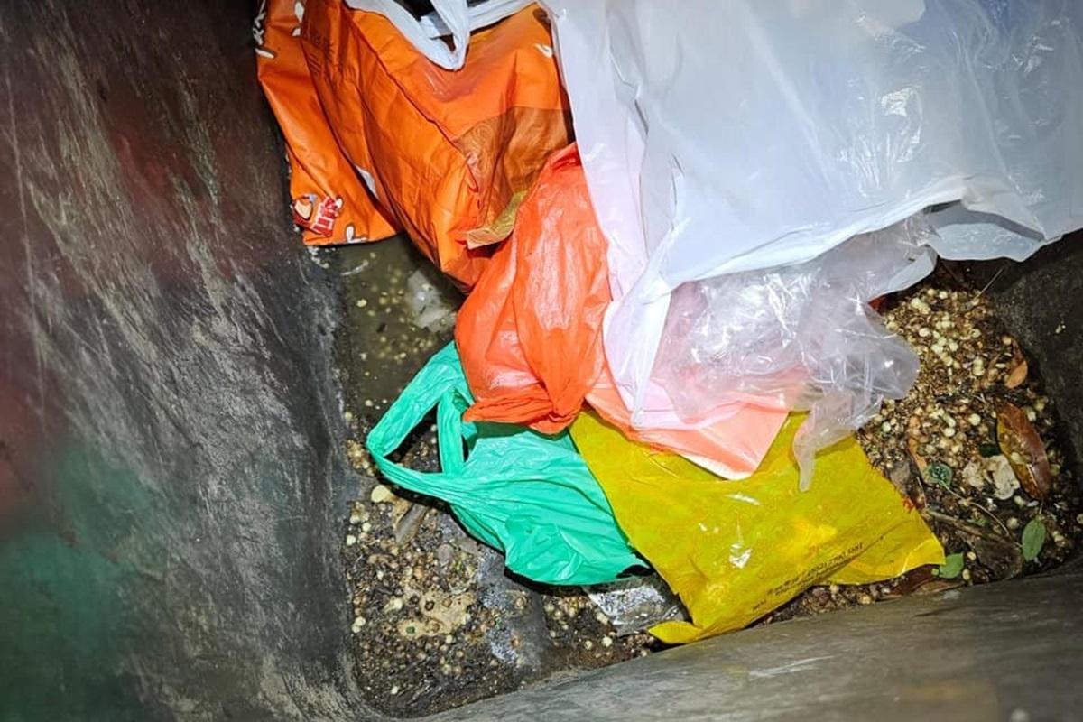 有清潔工友在垃圾桶一個綁實的膠袋內,發現5隻幼貓被遺棄。(「毛守救援」圖片)