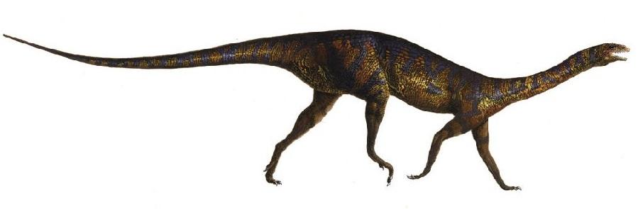 顏地龍模擬圖。(互聯網)