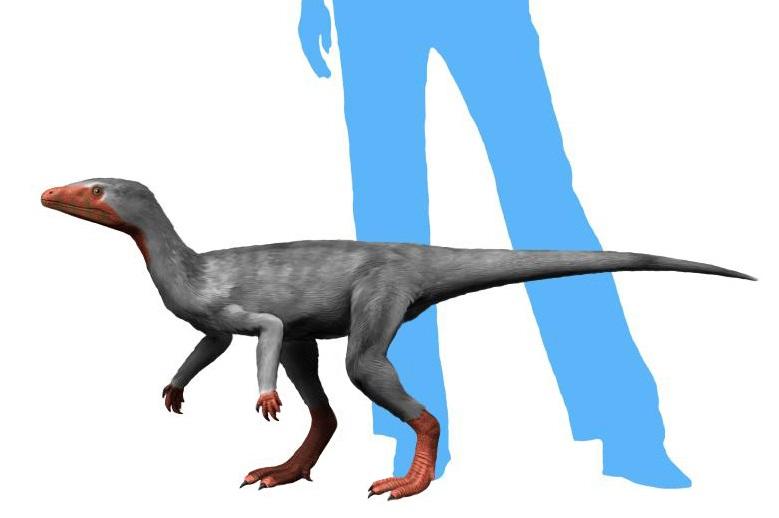 始盜龍模擬圖。(互聯網)