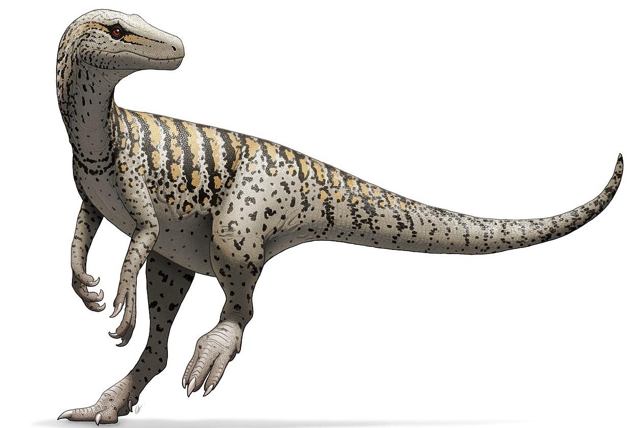 艾雷拉龍模擬圖。(互聯網)