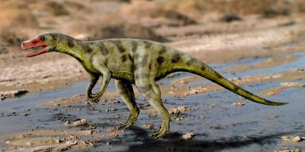 聖胡安龍模擬圖。(互聯網)