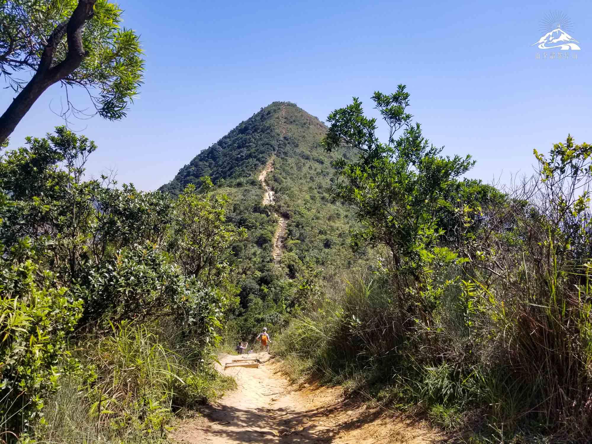 針山在城門水塘之上。(圖片來源︰山全部都係山)