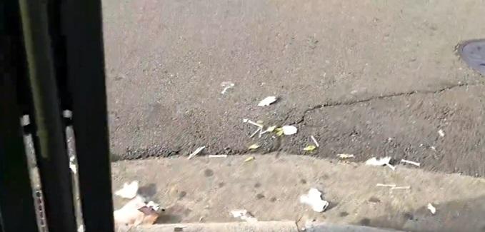 網民分享京都祇園街上滿布垃圾的影片。(互聯網)