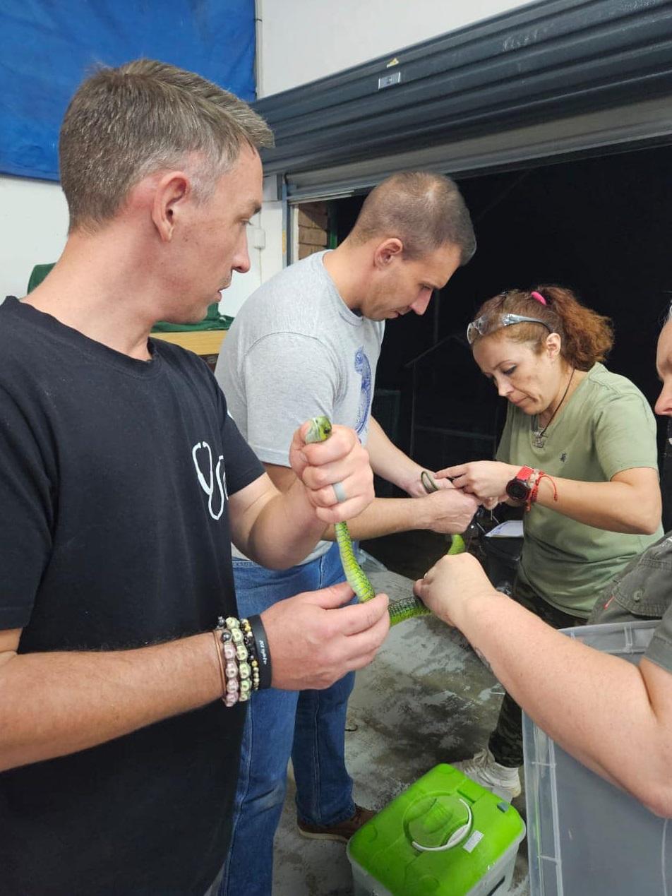 動保人員處理朱伯特在家裡非法飼養的野生動物。(互聯網)