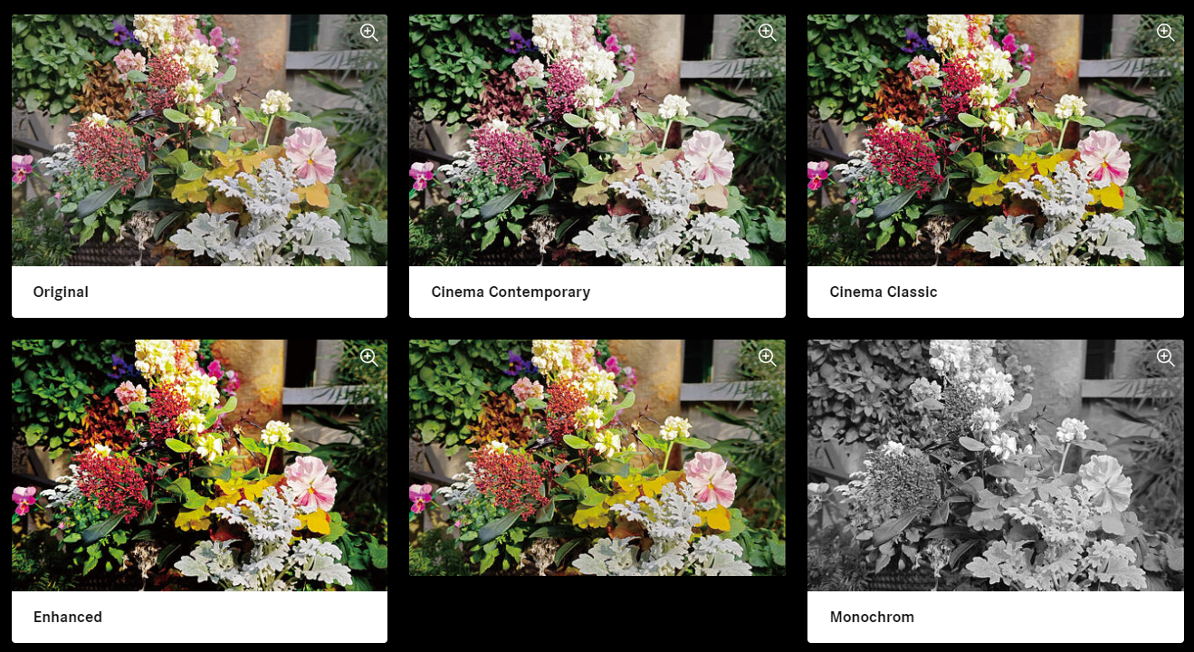 Leica Leitz Phone 3|5款色調可拍出不同效果及感覺的相片。