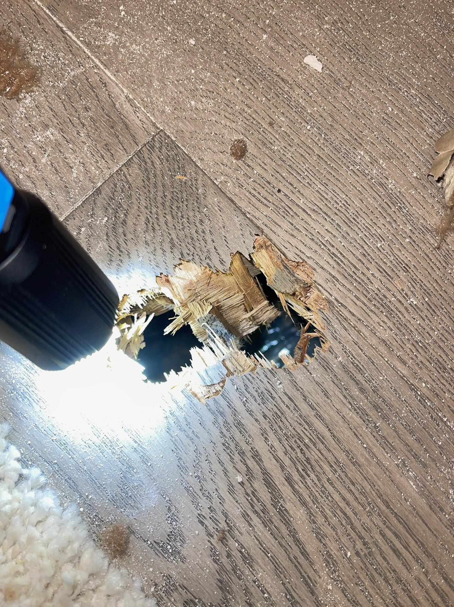 地板損毀。(互聯網)