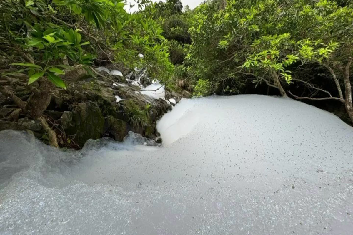 小赤沙一帶溪澗有大量白色泡沫。(方國珊FB圖片)