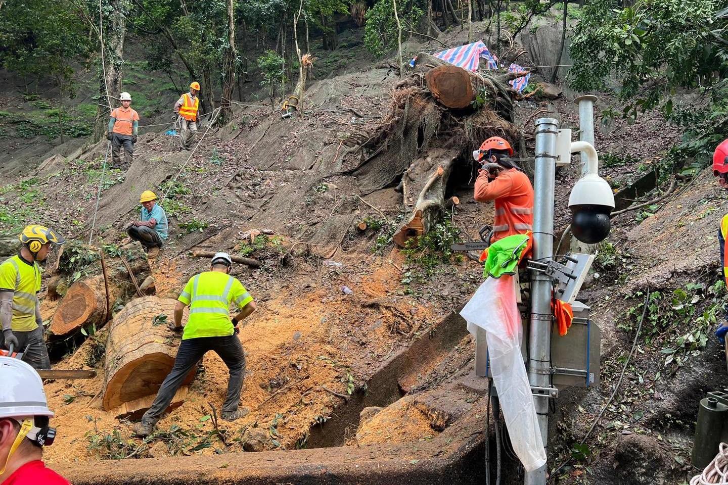 地政總署、土木工程拓展署及路政署已加派人手,移除斜坡上塌下的樹樁和樹幹。(發展局FB)