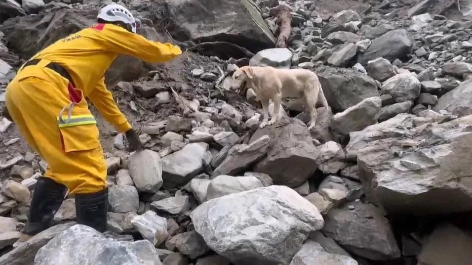 Roger參與太魯閣砂卡礑步道搜救任務。(互聯網)