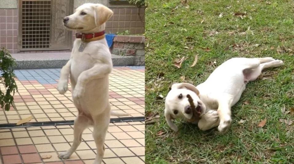 Roger小時候。(互聯網)