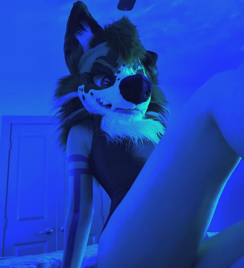 蒙頭入閘色情片狂吸4.5萬粉 男友被嘲有奇怪性癖愛動物