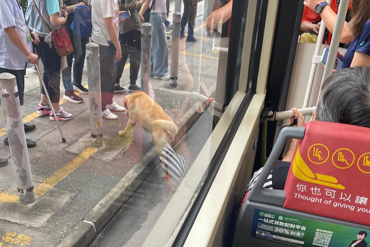 屯門今早有兩隻狗狗登上巴士,懷疑想在車上尋找主人。(FB群組「真・屯門友」)