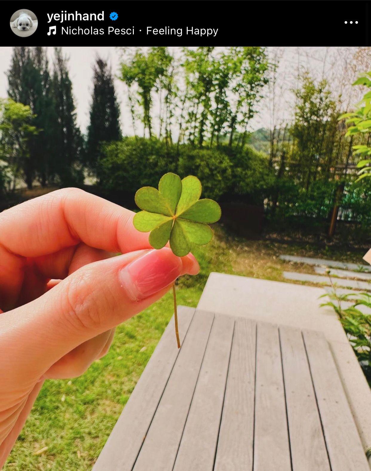 孫藝珍今日報喜表示找到四葉草,網民猜測她是否會客串《淚之女王》。
