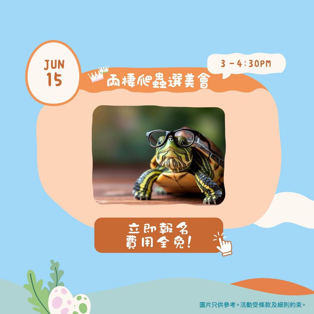 兩棲爬蟲選美會