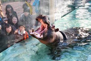 富士野生動物園