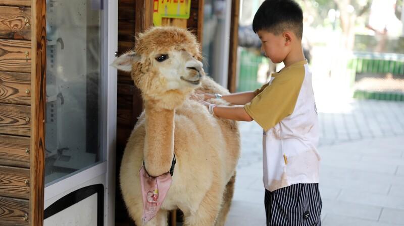 深圳 WOWO窩窩萌寵森友會