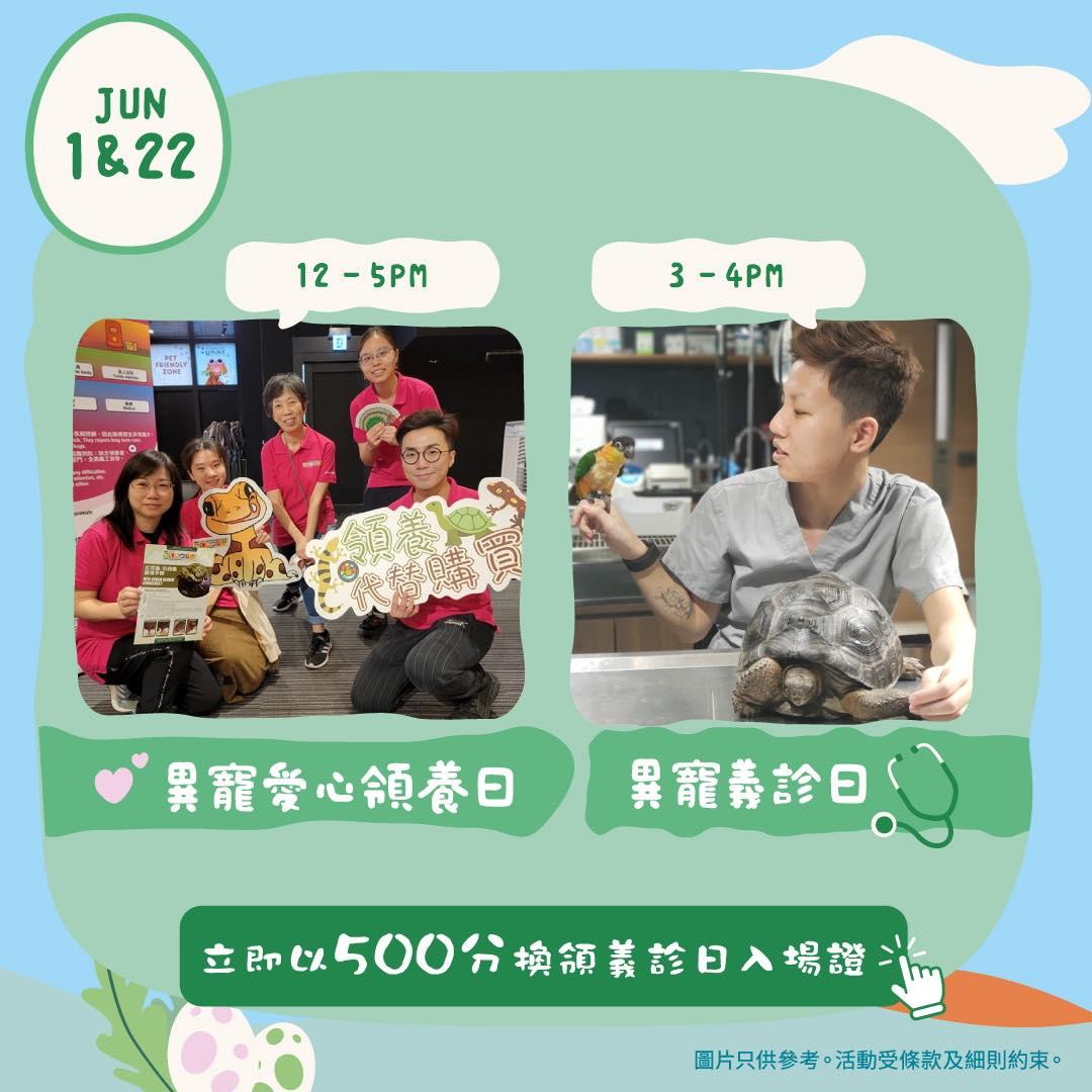 異寵愛心領養日及異寵義診日