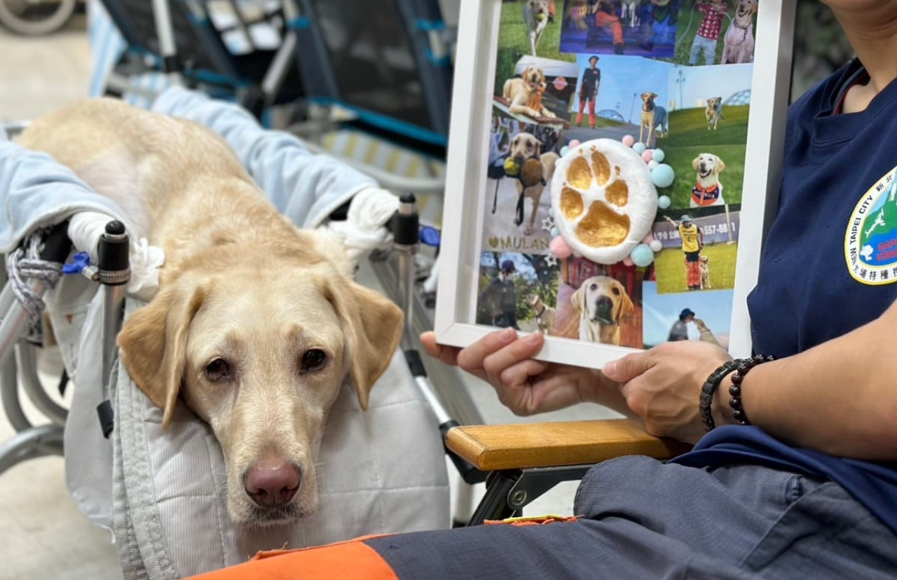 木蘭於死前2個月,因癌細胞侵蝕神經及及呼吸系統跡象,四肢已無法自由行動(網上圖片)