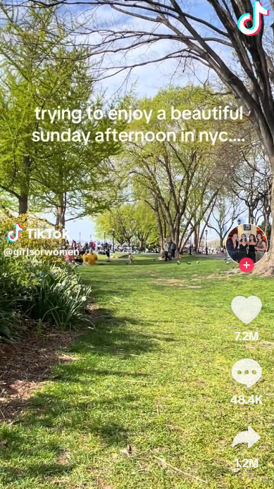 美國紐約公園現「毛毯活春宮」,影片網上瘋傳。(TIKTOK)