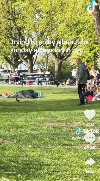 美國紐約公園現「毛毯活春宮」,影片網上瘋傳。(TIKTOK)