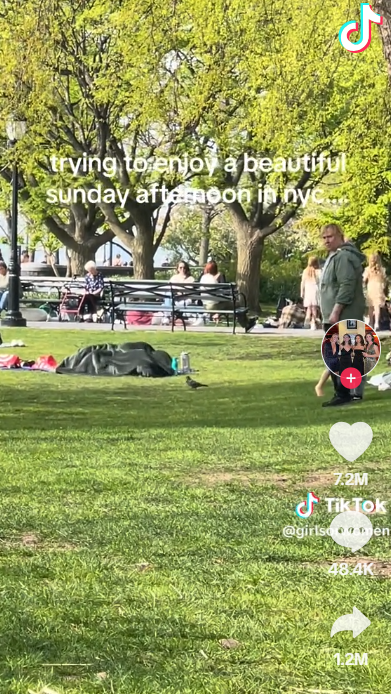 美國紐約公園現「毛毯活春宮」,影片網上瘋傳。(TIKTOK)