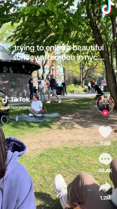 美國紐約公園現「毛毯活春宮」,影片網上瘋傳。(TIKTOK)