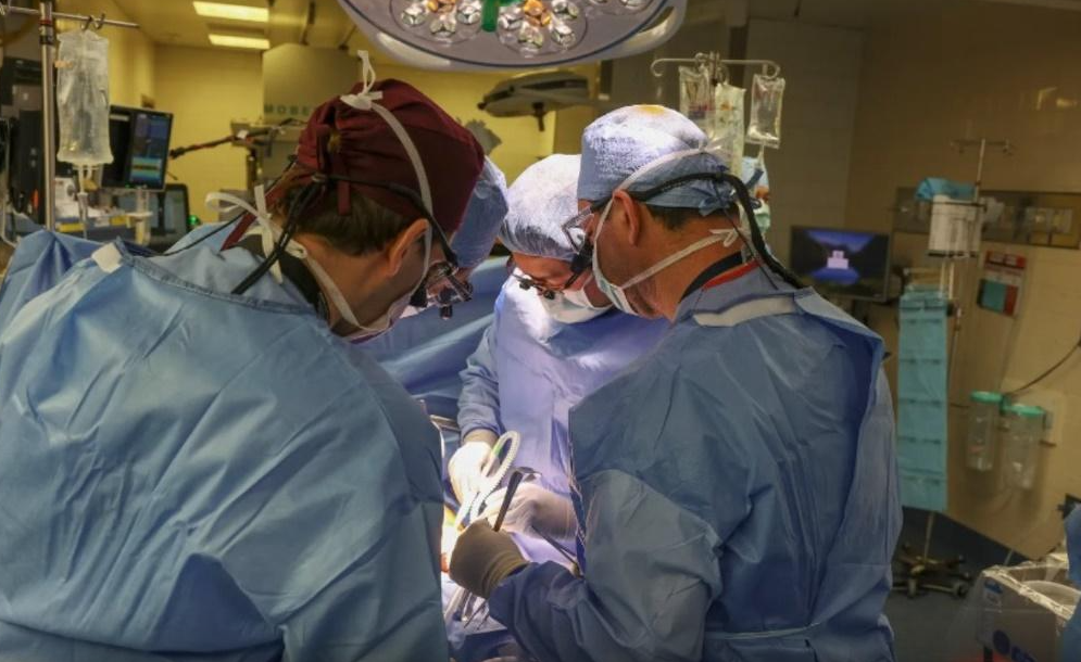 斯來曼在麻省總醫院接受了全球首宗基因豬腎移植手術。(資料圖片)