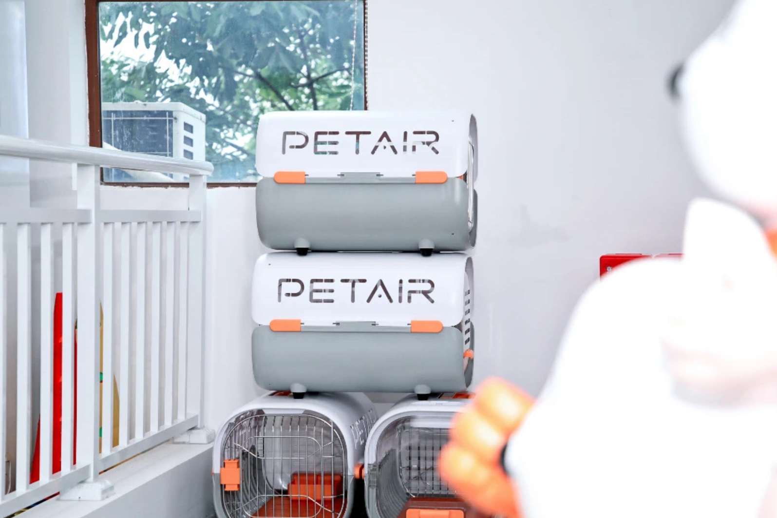 深圳機場寵物候機廳啟用,推出一站式寵物出行服務,讓旅客網上全程查看寵物狀態,目前累計服務了約40隻寵物,是中國首個寵物候機廳。(網上圖片)