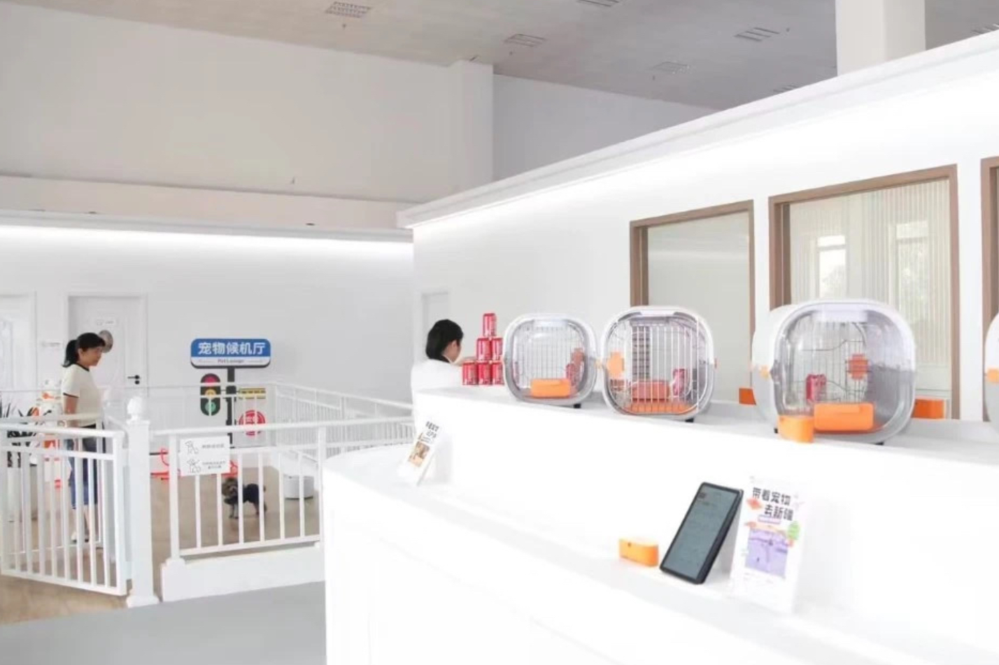 深圳機場寵物候機廳啟用,推出一站式寵物出行服務,讓旅客網上全程查看寵物狀態,目前累計服務了約40隻寵物,是中國首個寵物候機廳。(網上圖片)