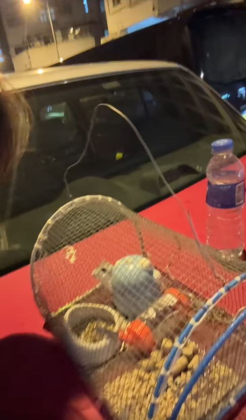 涂家堯深夜回家見到有人將倉鼠連物資放在的士上。